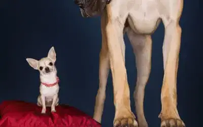 THESE ARE UNPRECEDENTED TIMES AND FAR FROM ORDINARY