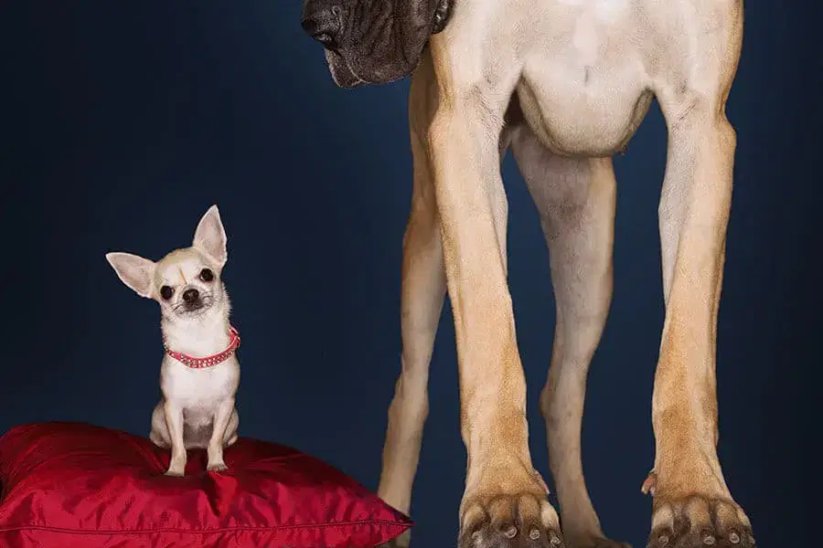 THESE ARE UNPRECEDENTED TIMES AND FAR FROM ORDINARY