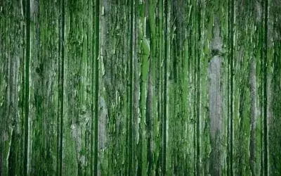 Website Designers – Getting Ready for Summer