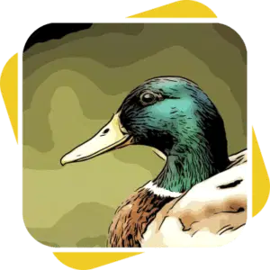 Dave the Duck Avatar
