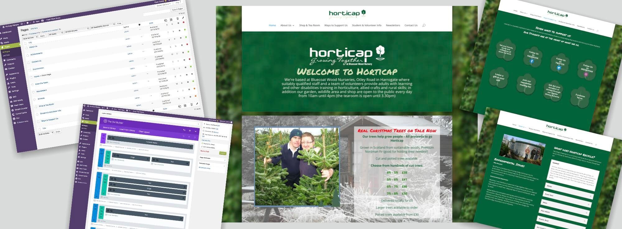 Responsive websites designed by Colour It In Responsive websites designed by Colour It In