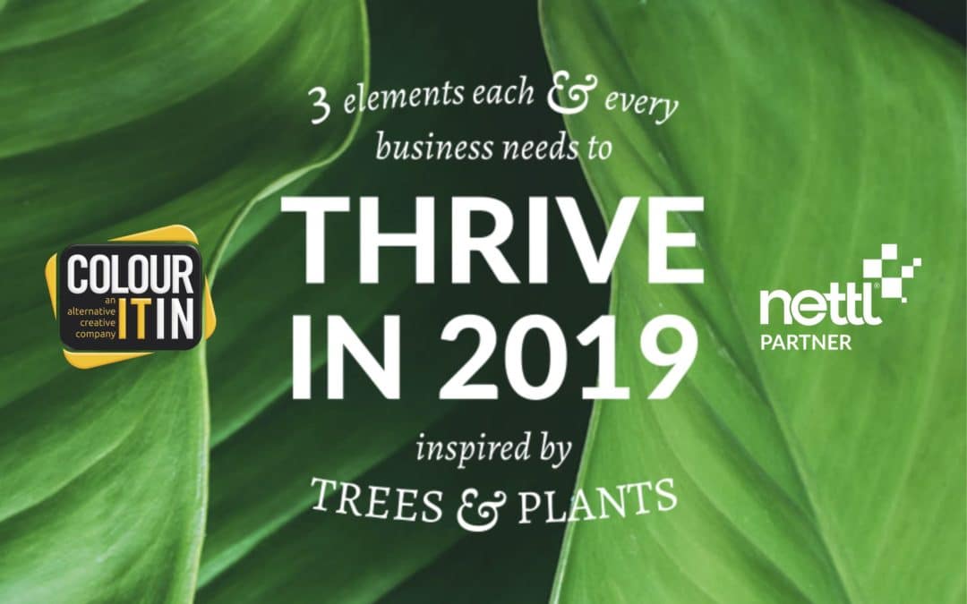 Thrive in 2019- Colour It In