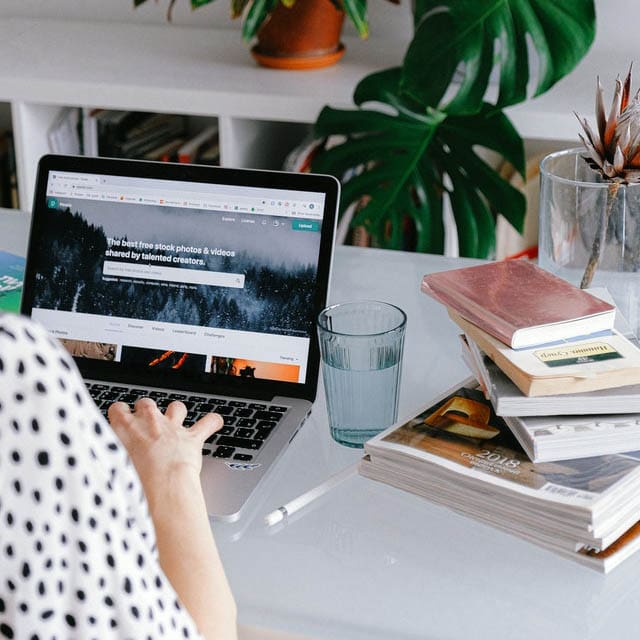 Woman Browsing For Stock Photos