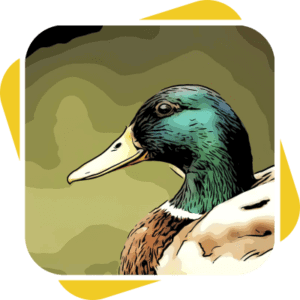 Dave the Duck Avatar