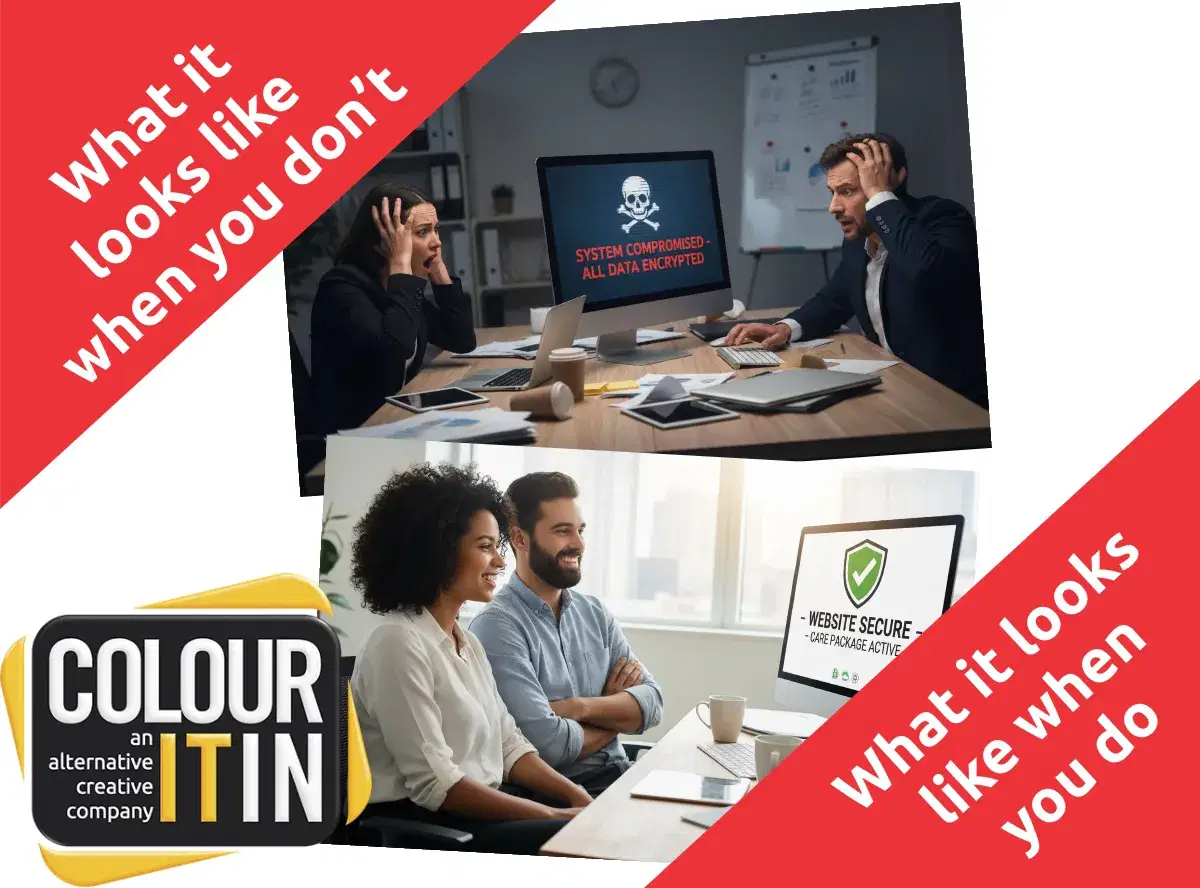 Web Care Package Offer Feb 2026